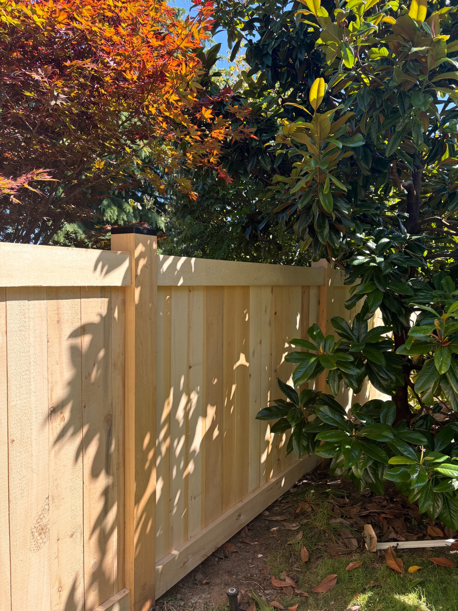 Cedar fence beside a garden and mature trees